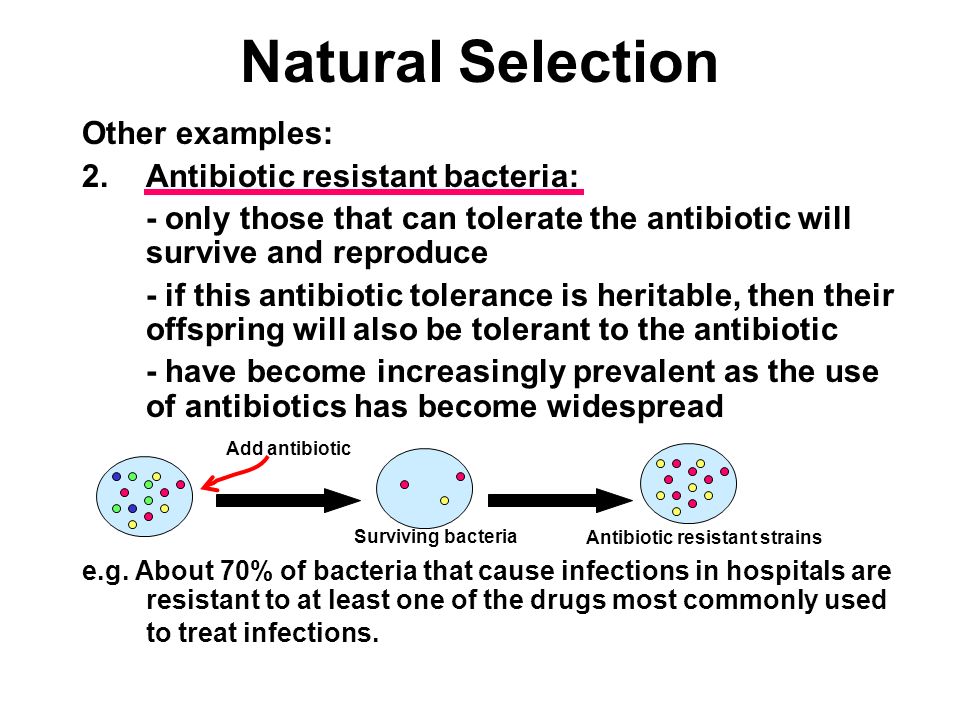 Nano Medicine – Treatments for Antibiotic Resistant Bacteria